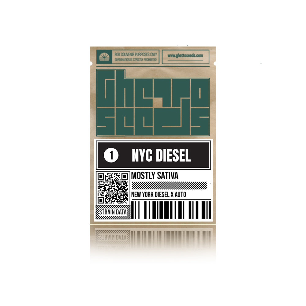 NYC Diesel Auto