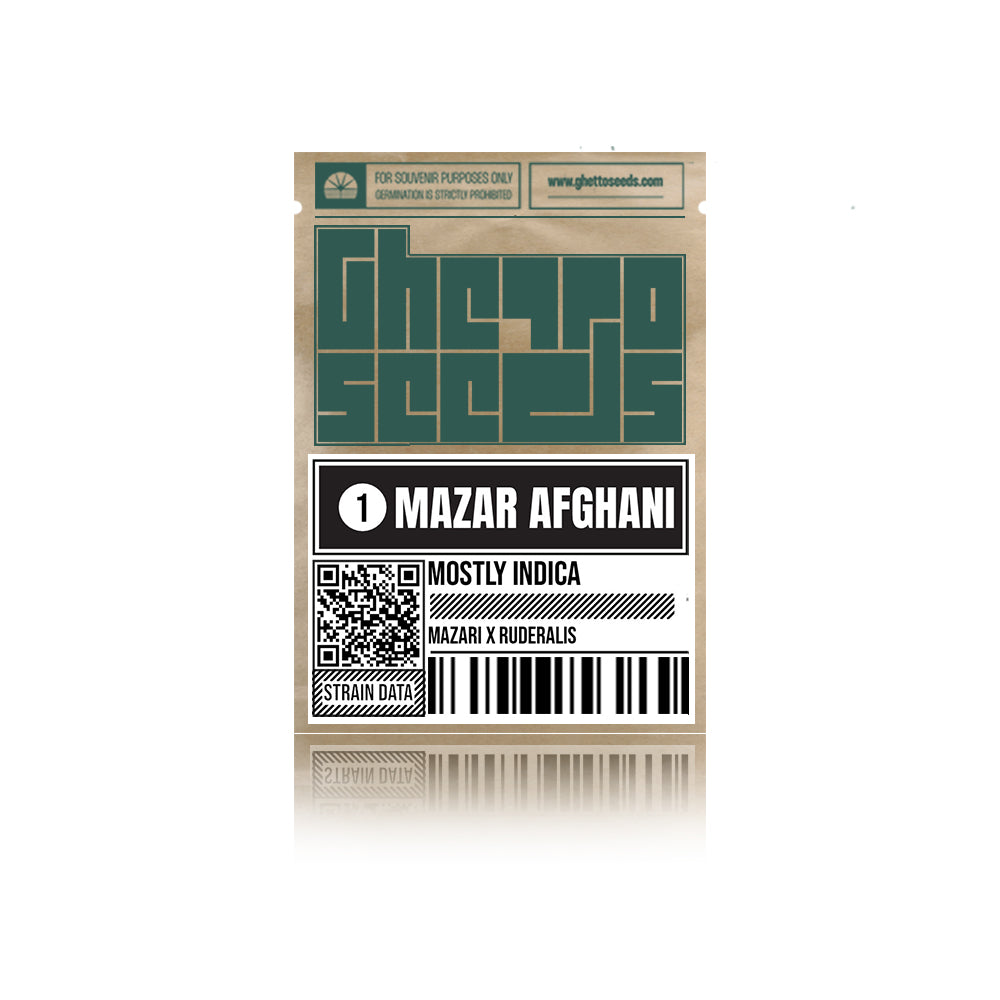 Mazar Afghani Auto