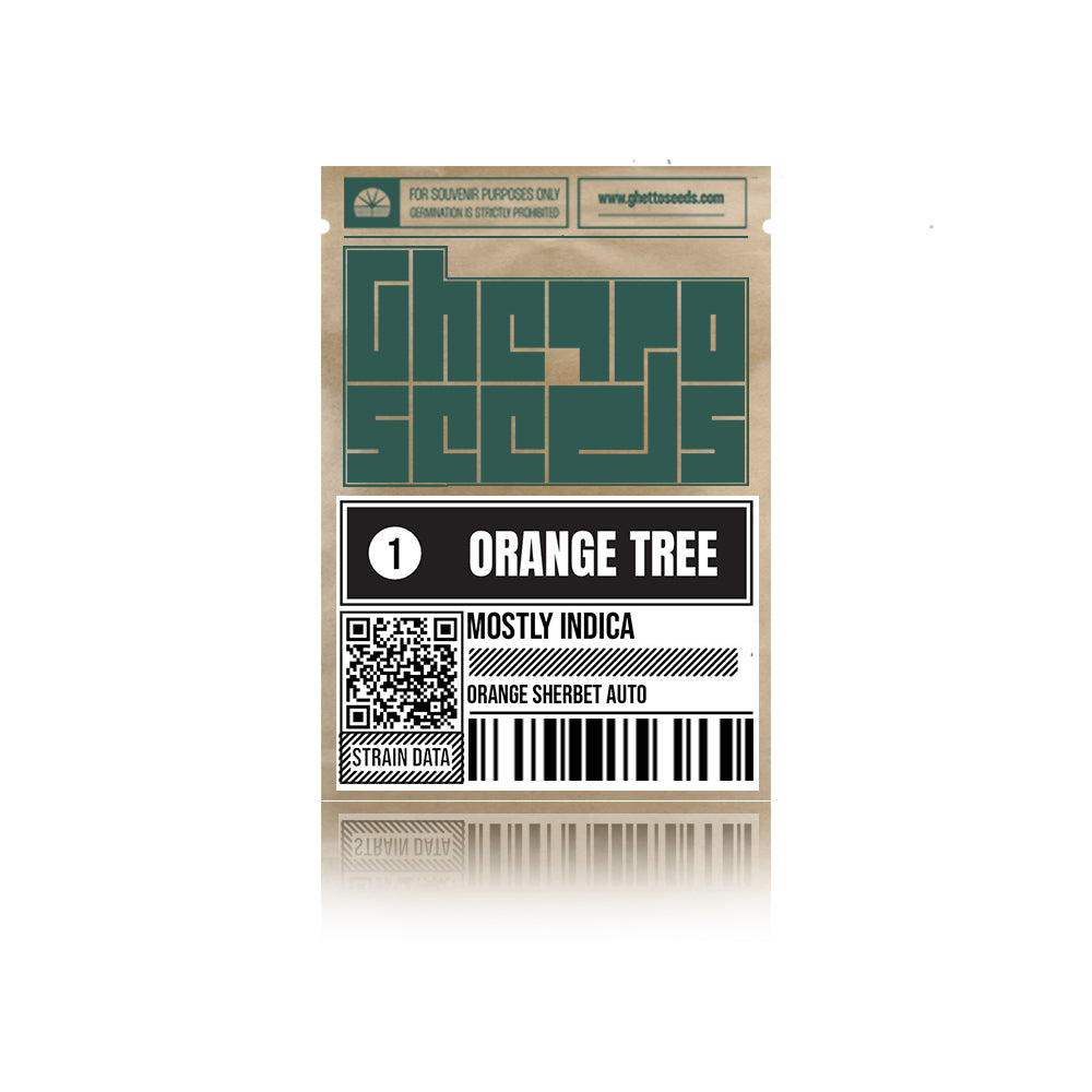 Orange Tree Auto