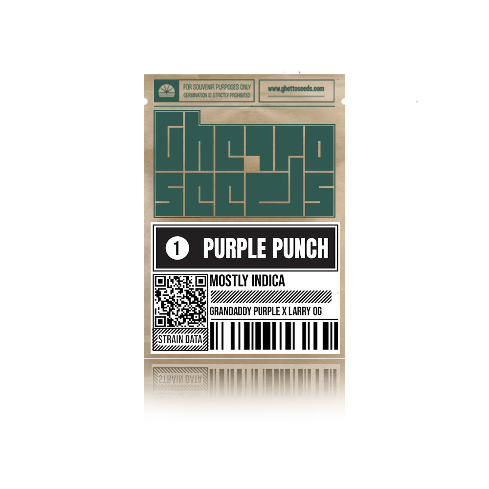 Purple Punch Auto