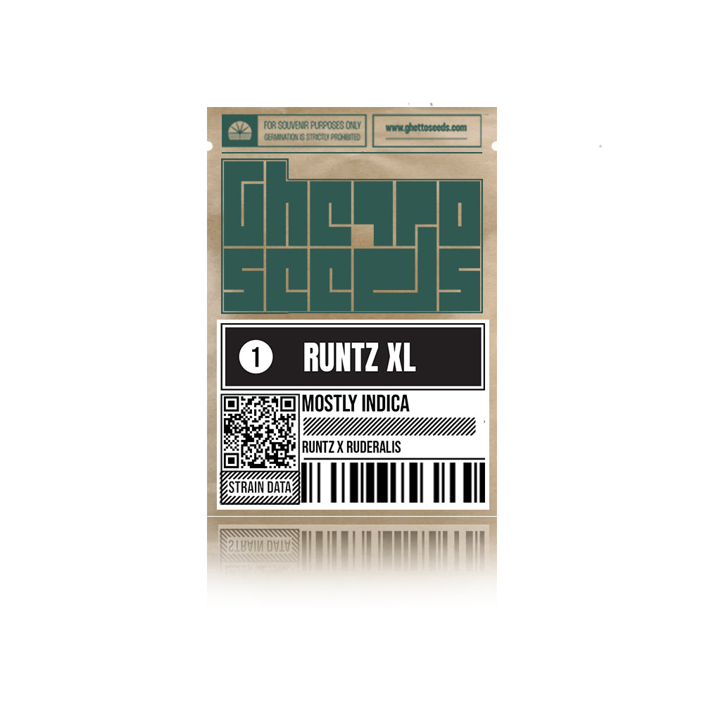 Runtz XL Auto