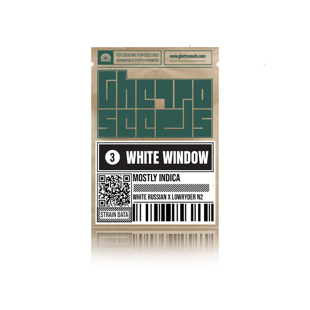 White Window Auto